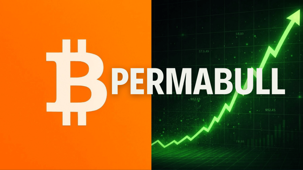 Logo Bitcoin con scritta Permabull e di fianco grafico verde che sale