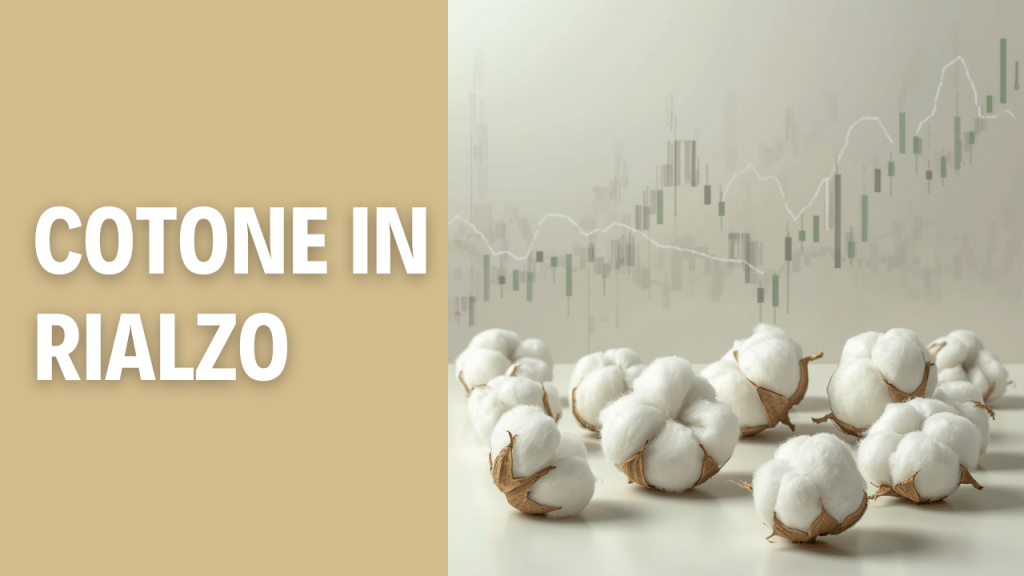 Immagine di cotone a destra con uno sfondo di borsa dietro e alla sinistra la scritta COTONE IN RIALZO